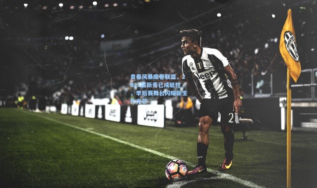 青春风暴席卷联盟，2021届新秀已成砥柱，季后赛舞台闪耀新生代光芒