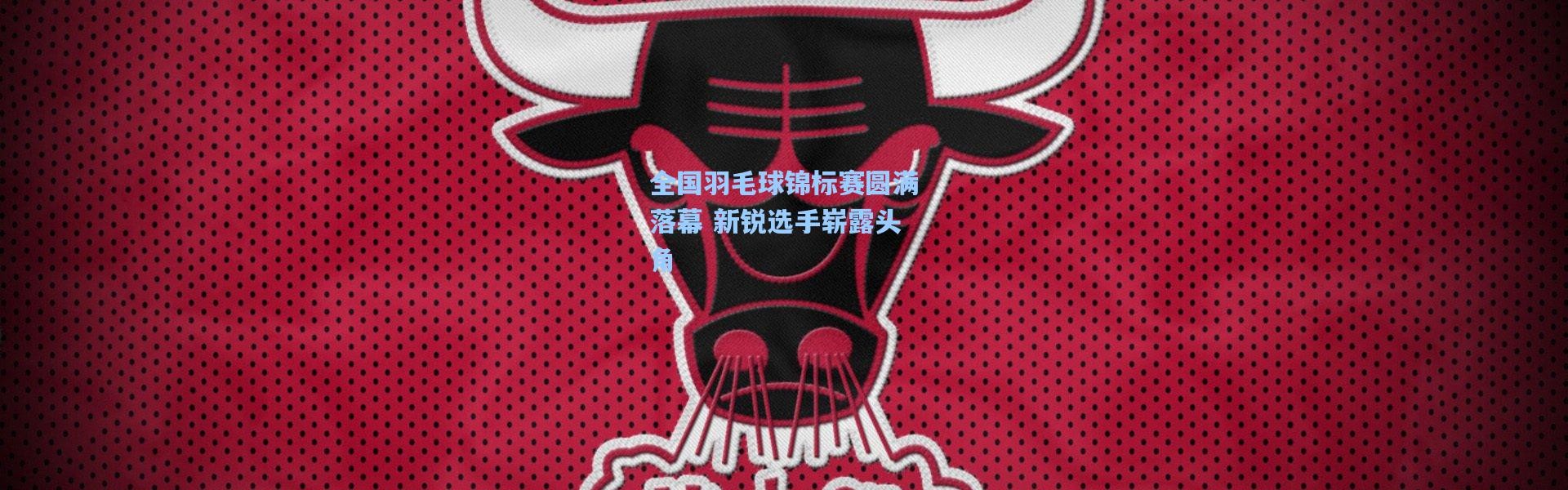 全国羽毛球锦标赛圆满落幕 新锐选手崭露头角