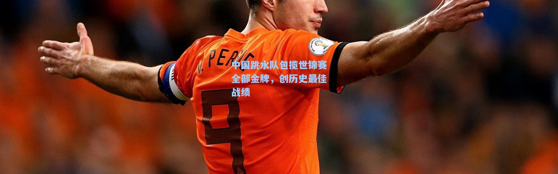 中国跳水队包揽世锦赛全部金牌，创历史最佳战绩