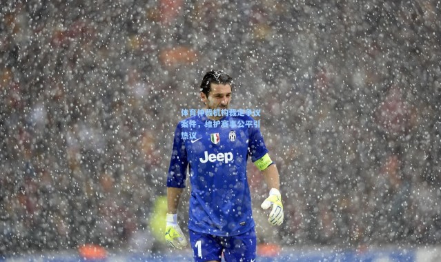 体育仲裁机构裁定争议案件，维护赛事公平引热议