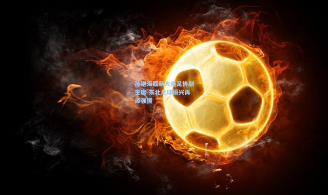 孙继海履新大连足协副主席 东北足球振兴再添强援