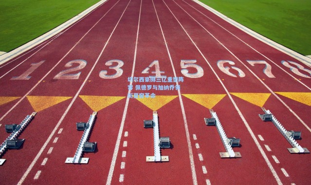 切尔西豪掷三亿重塑阵容 佩德罗与加纳乔领衔夏窗革命